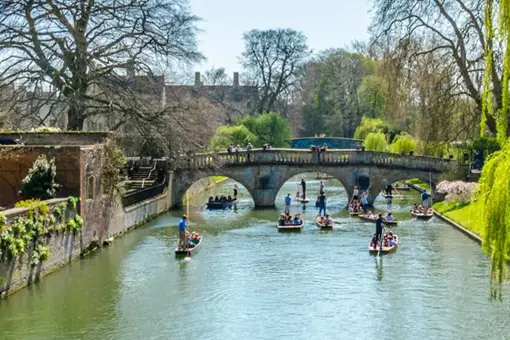 Cambridge to tackle skills gap