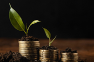 Investment Banking