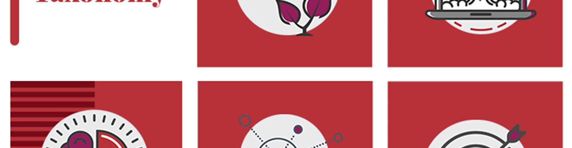 Allow your education to Bloom