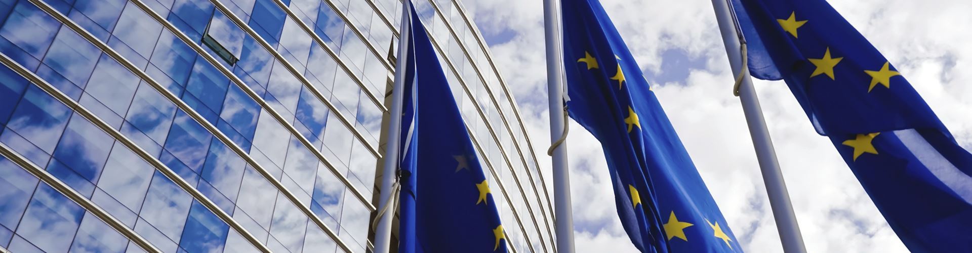 Small businesses join forces to encourage EU ‘in’ vote