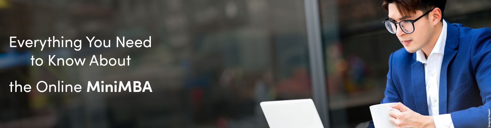 Everything You Need to Know About the Online Mini MBA